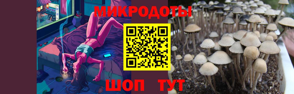 Краснознаменск  Псилоцибиновые грибы мицелий  Вход с VPN  Галлюциногенные грибы MAGIC MUSHROOMS 